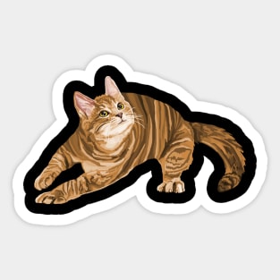 Zooming Orange Ginger Kitten Sticker